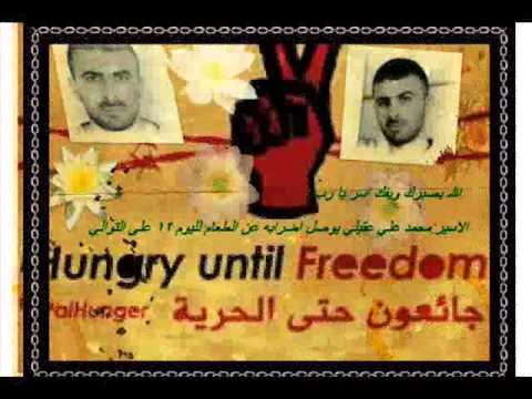 الاسير محمد علي ابراهيم عقيلي