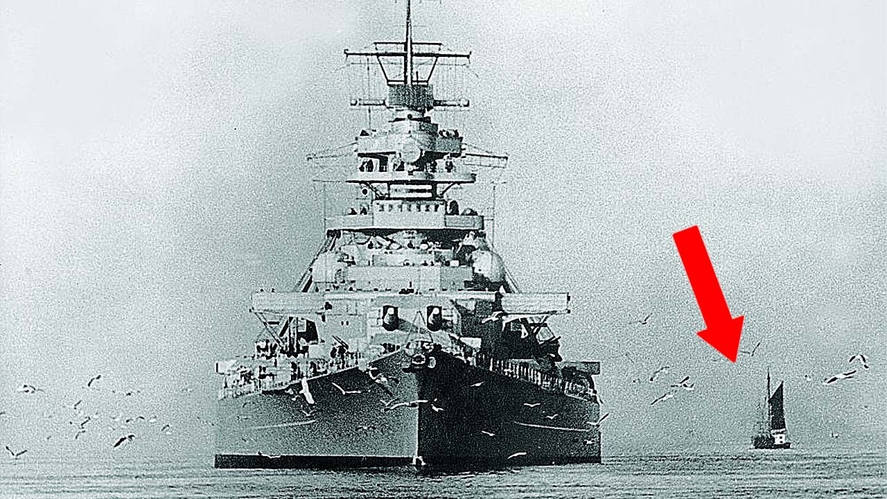 50000-ТОННАЯ Тварь, Которую Смог Убить ТОЛЬКО ВЕСЬ ФЛОТ Британии!