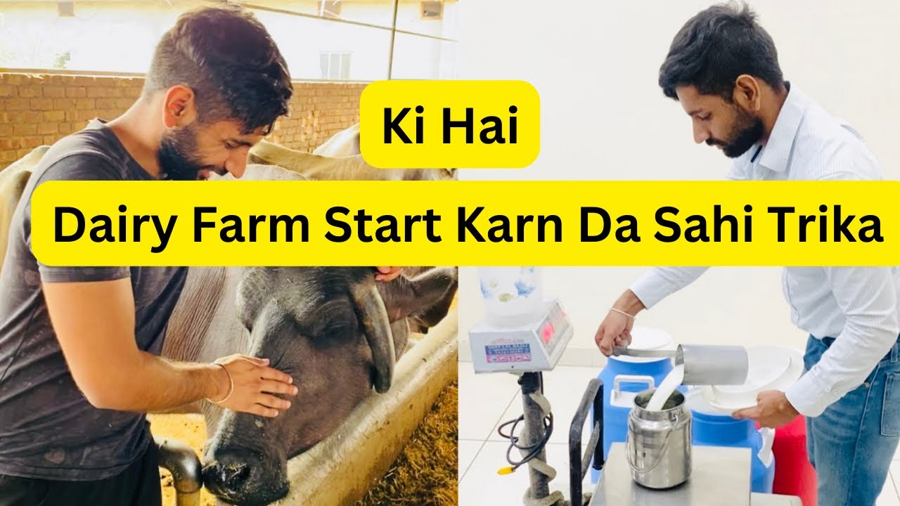 What’s the right way to start a Dairy Farm. YouTube