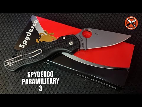 Everyday Carry Excellence: Spyderco PM3 in Focus