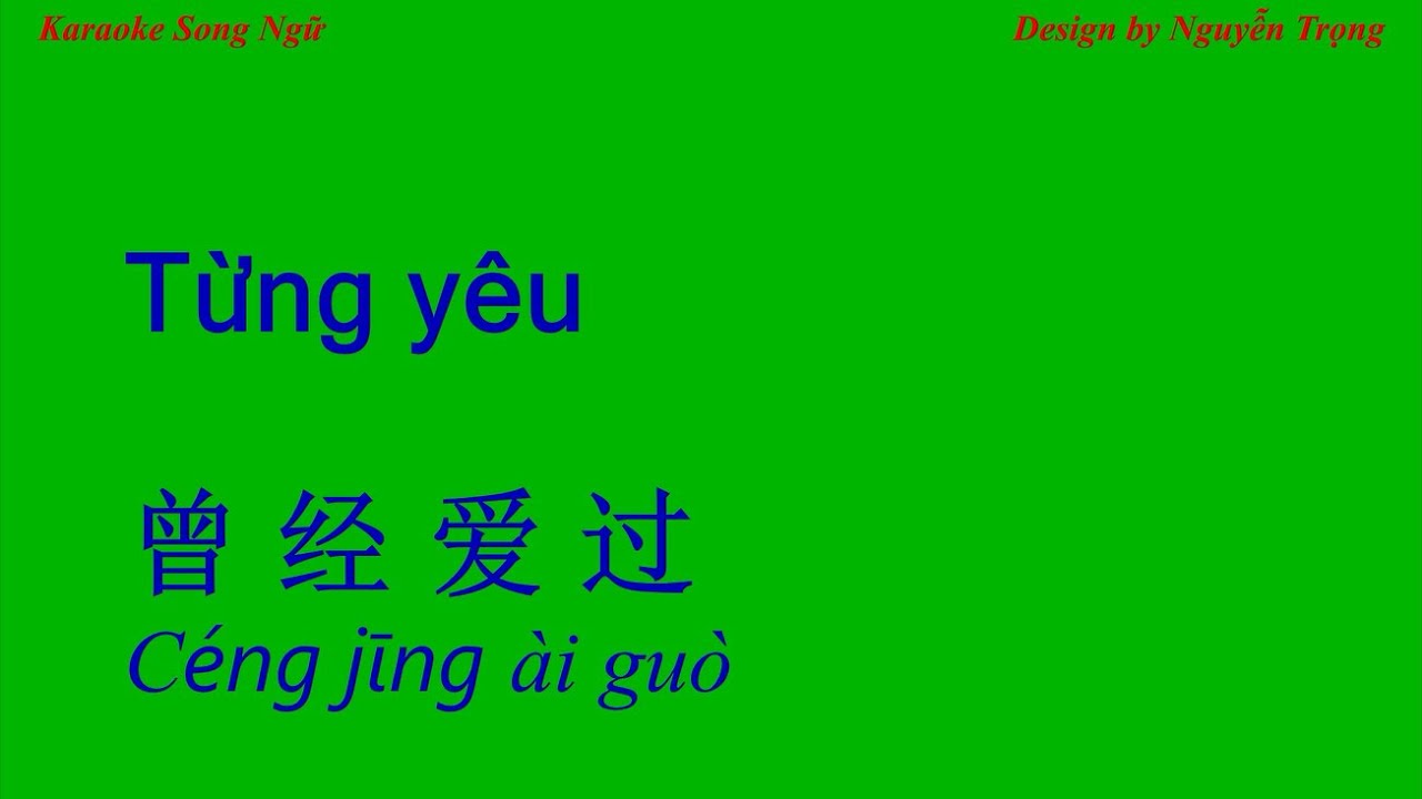 Karaoke - Từng yêu - 曾经爱过 (Lyric Hoàng Mai)  ( D# Min)