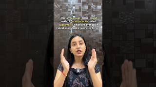 Structure of Virus | Biological Classification #neet #shorts #ytshorts #biology #class11 #study