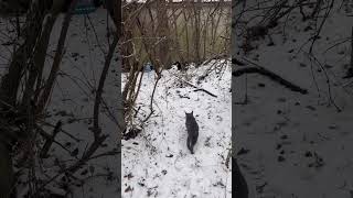 Download Lagu In that day, shell thy mouth be opened to him, which is escaped and dumb Ezekiel24;27♟️ MP3