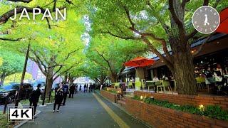 World Athletics Championships Tokyo 25 Around National Stadium | Japan Walking Tour【4K | 60fps】