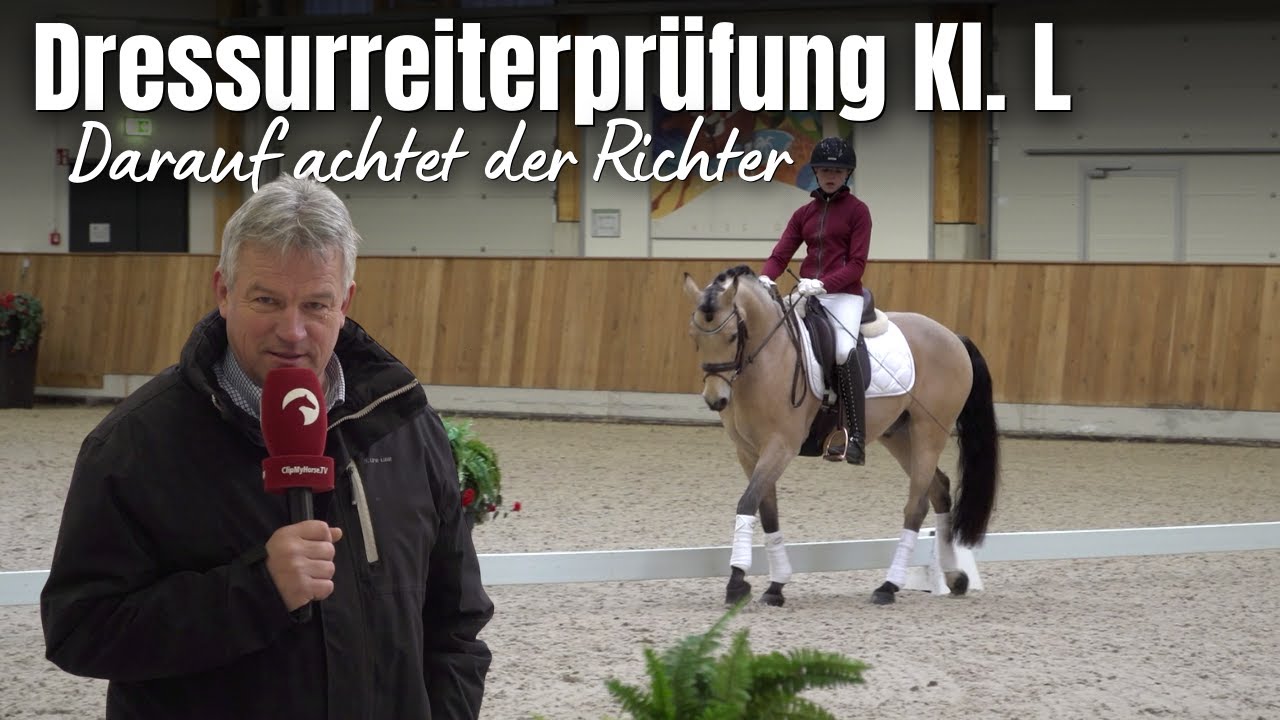 Lia & Alfi reiten die RL2 (Aufgabenheft 2018) | Welche Note bekommen sie und warum?🎓
