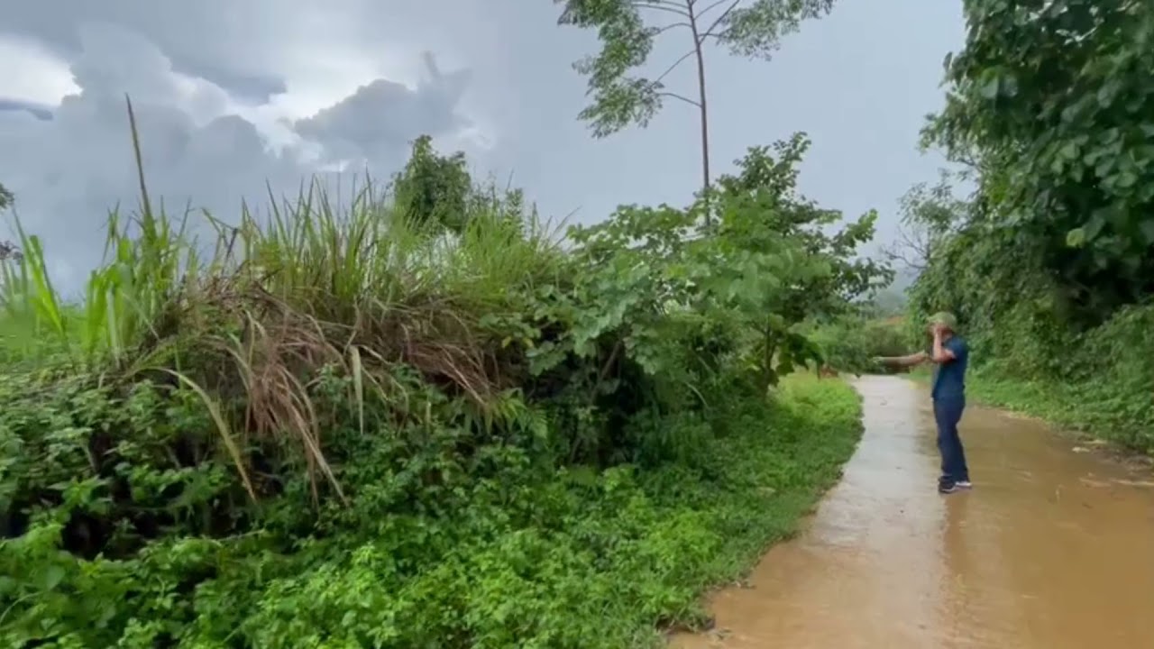 Đón sóng Cao tốc Hòa Bình - Mộc Châu Bán Mảnh đất có diện tích 2675m Phiêng Luông