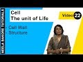 Cell - The unit of Life - Cell Wall - Structure