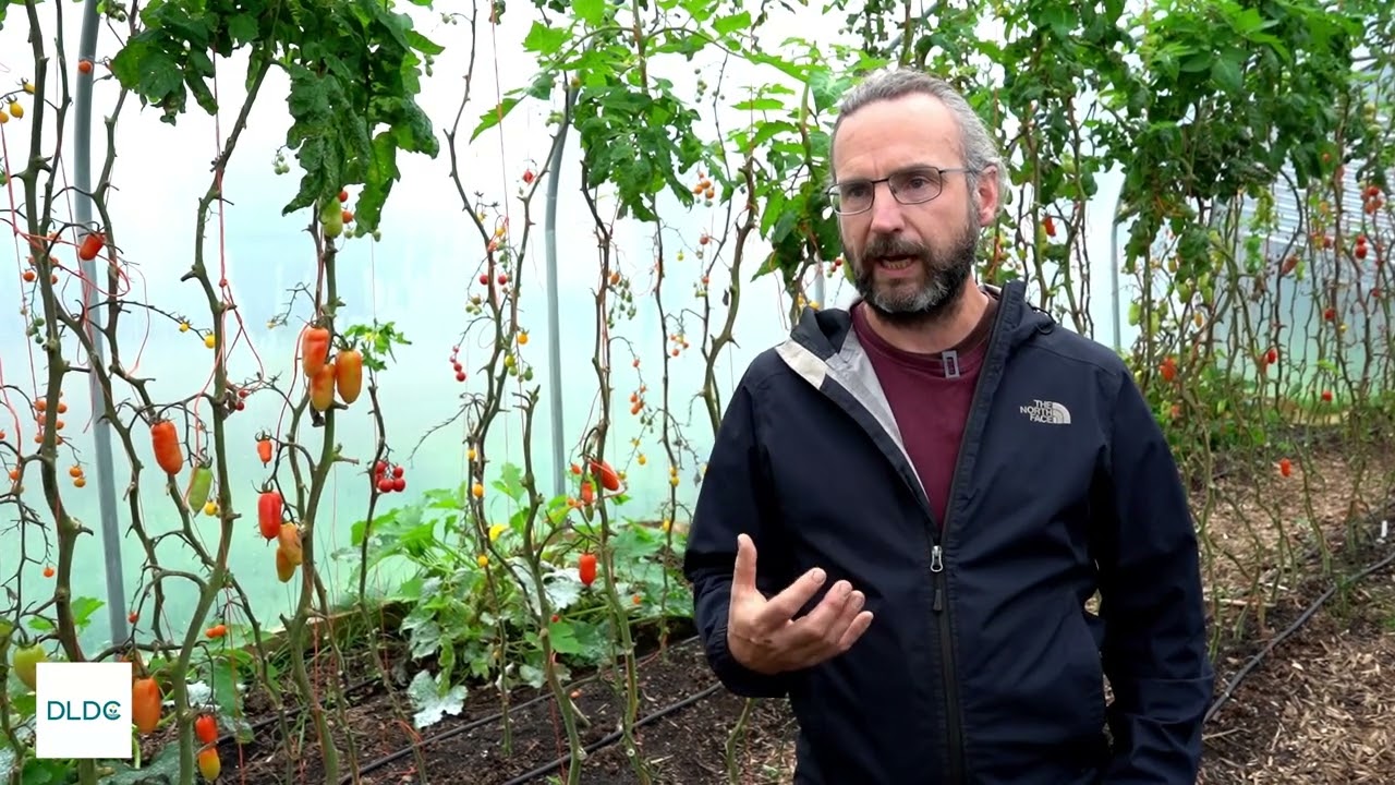 Ronan McNern from Shy By Nature at "Celebrating Donegal Business" Showcase Event!
