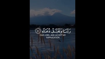 سورة إبراهيم قارئ  طارق محمد