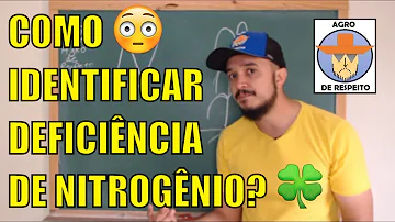 O que causa a falta de nitrogênio nas plantas?
