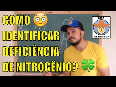 Como identificar a deficiência de Nitrogênio nas plantas? - SINTOMAS NUTRICIONAIS EP1