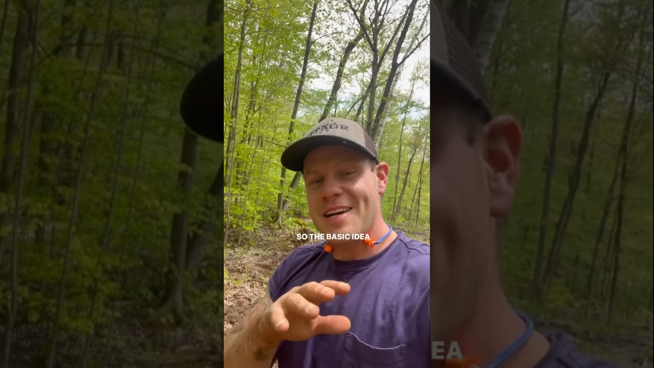 What’s a waterbar? Are why are they so important? 