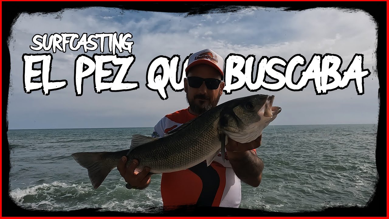 🎥 SurfCasting  El Pez que Buscaba