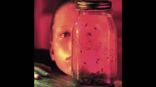 Alice In Chains - Whale & Wasp (1994 CD Audio)