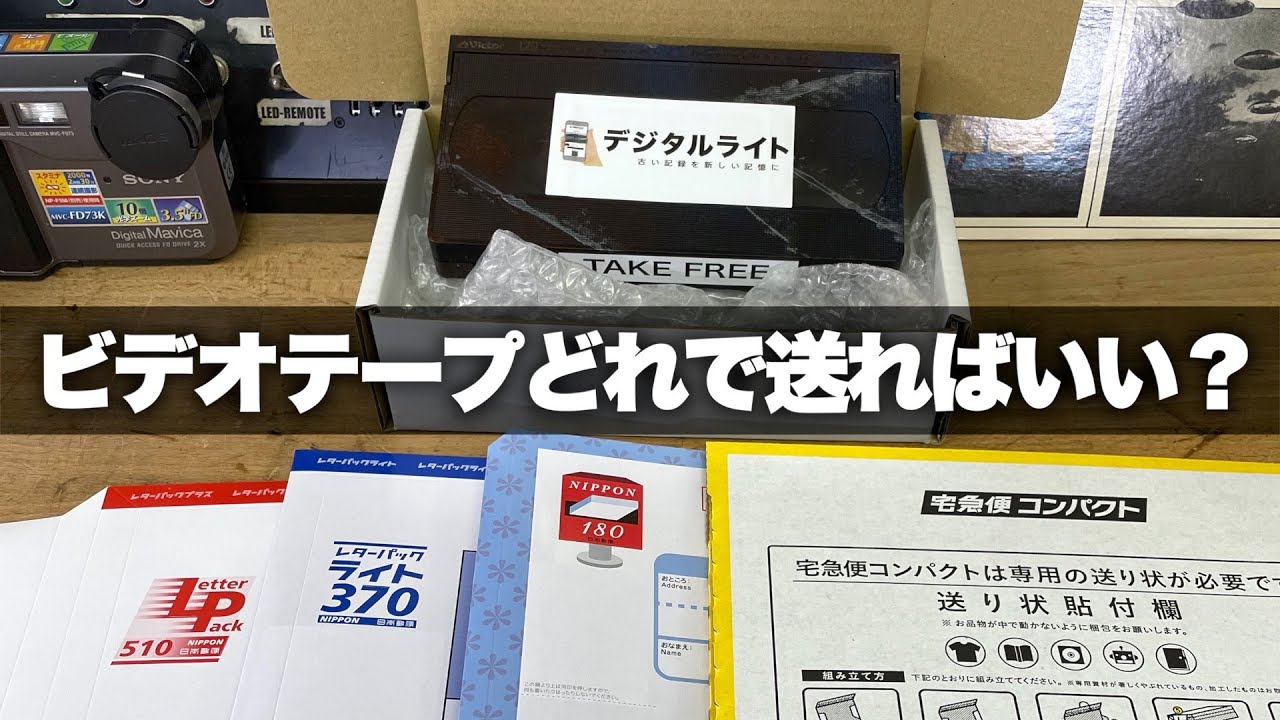 カメムシ／発送方法修正】テレビ ウシカメムシ4齢·5齢·成虫