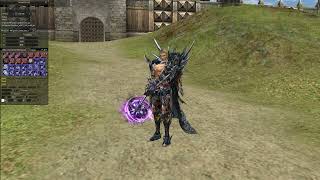 Lineage II - Death Knight MFighter for High Five+ Clients (Test)