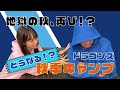 地獄の秋、再び?!どうなる、ドラゴンズ秋季キャンプ‼️
