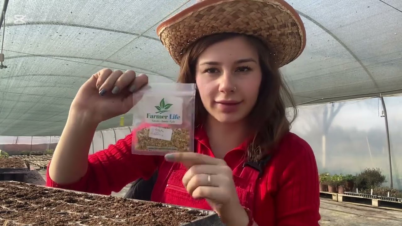 En Basit Haliyle Tohum Ekimi Nasıl Yapılır . #farmerlife #bahçe#tohum#köy#çiftlik #gencciftci