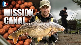 PÊCHE DE CARPES EN CANAL - MISSION CARPE 24H #9 - Avec Thibaut screenshot 2