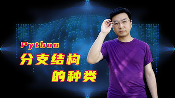 【武鹏有课】Python分支结构的种类