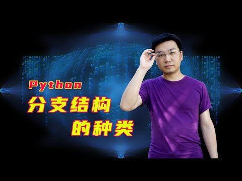 【武鹏有课】Python分支结构的种类