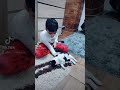 Nicolas și pisicul Tom