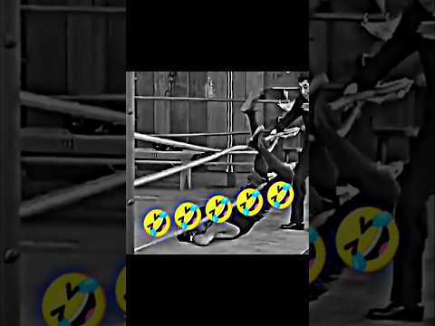 Top five funny video 😅 #funny #new #comedy
