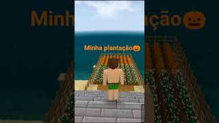 Explorando minha plantação de abóboras 🎃 – Raposão Cing Creative