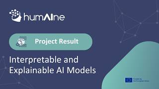 HumAIne Exploitable Assets Explainers | Interpretable and Explainable AI Models