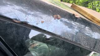 Replacing quarter glass on a 2013 Hyundai Sonata
