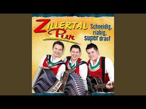 Kropfate Pinzgerin