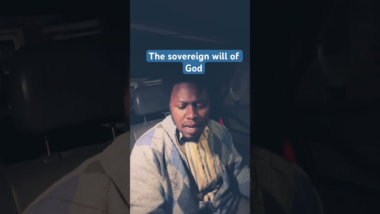 Суверенная воля 