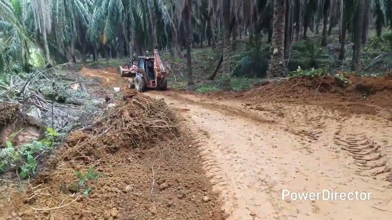 Sekali sekala..pergi kebun sawit dengan bini..