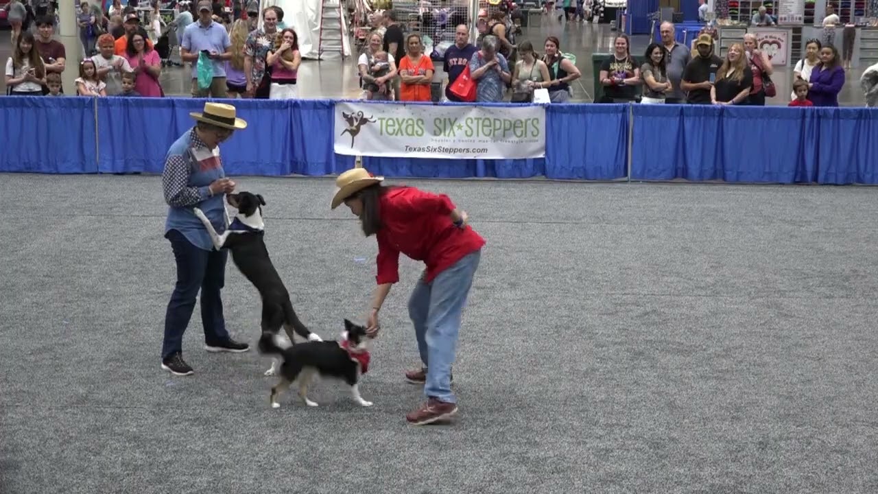 2023 Texas Six Steppers Summary