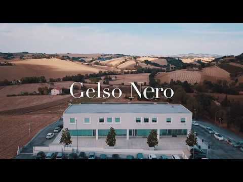 Video: Gelso nero, o gelso