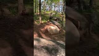 Big Rock Trail at FATS