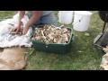 End of video
