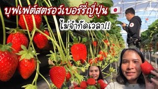 บุฟเฟต์สตรอว์เบอรี่ญี่ปุ่นไม่จำกัดเวลา 2000เยนต่อคน/ สวนOkayama fruits farm จ.โอคายะมะ