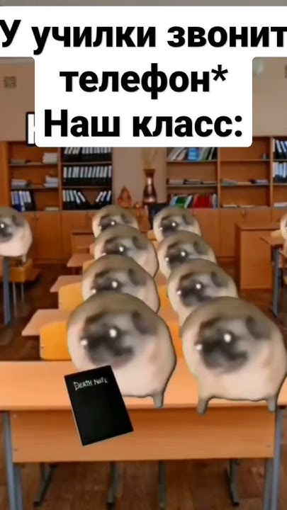 #чундра-чучундра - YouTube