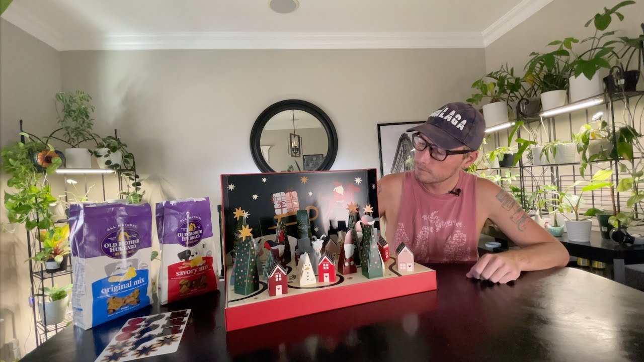 Ikea Advent Calendar 2024 Reddit