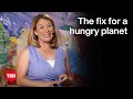 Can Nanoparticles Help Fight Hunger? | Christy L. Haynes | TED