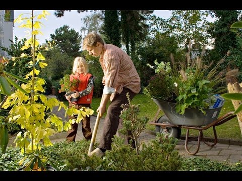 Video: Was ist ein Erdbeerbusch: Pflege von Erdbeerbusch Euonymus