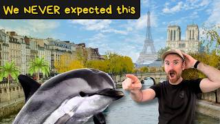 France Is Completely Different Everywhere You Go