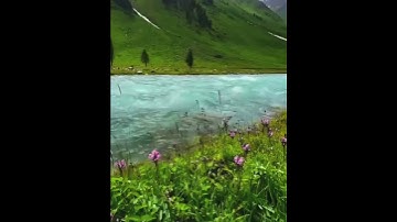 تلاوة رائعة ما تيسّر من سورة المائدة للشيخ محمد الفقية #قرآن #يارب #القران