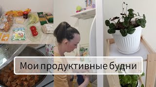 Мои будни/готовлю обед и ужин🍽 Пеку торт🎂Пересаживаю цветы💐