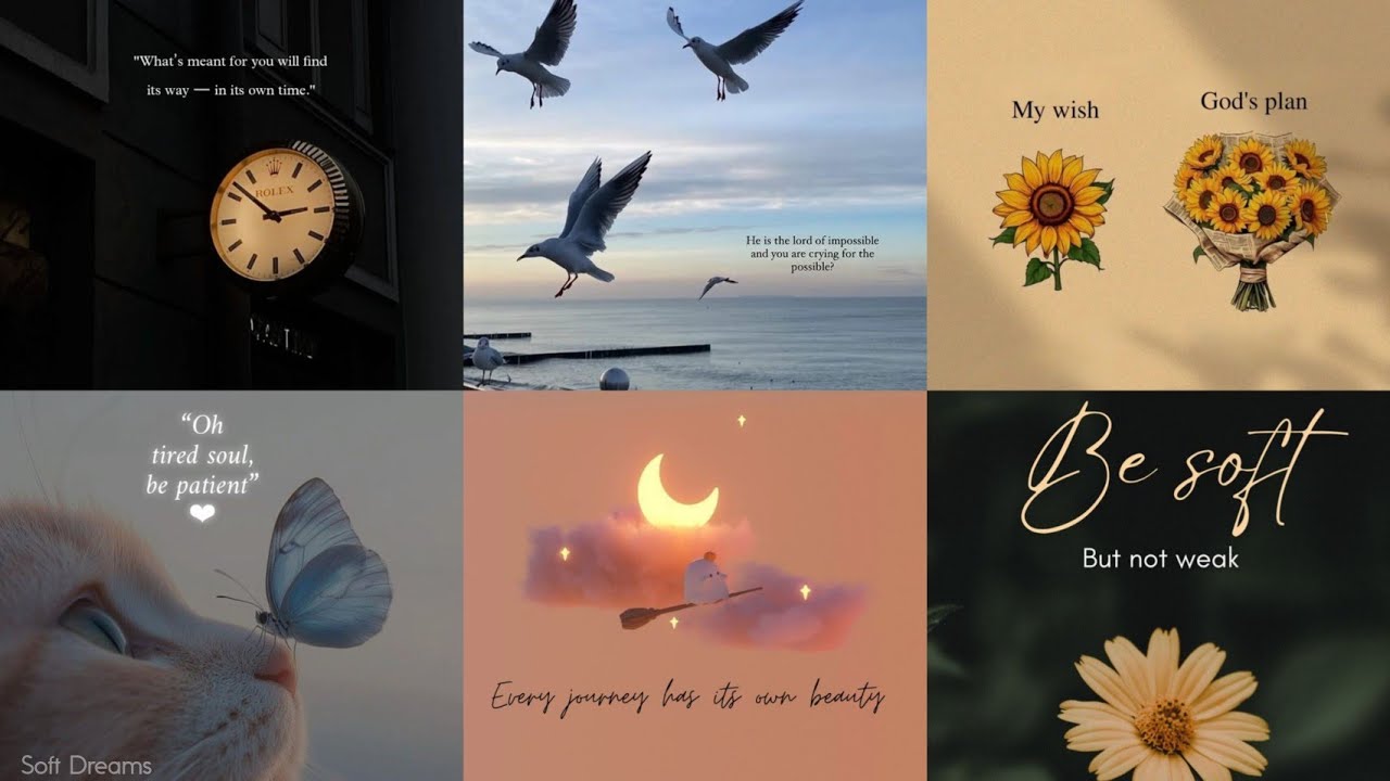 Powerful English Quote for WhatsApp, Instagram DP | Motivation & Attitude Status