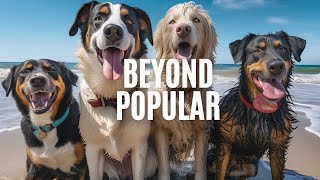 Top 5 most popular dog breeds in the world