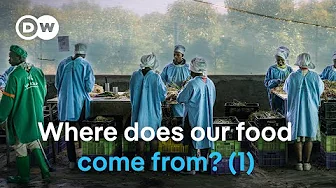 Food for thought - The hidden realities of farming (1/2) | DW Documentary