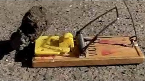 High Speed Video Tests (Casio Exilim Pro EX-F1)