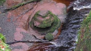 The Devil's Pulpit - Finnich Glen - Scotland [4K/UHD]